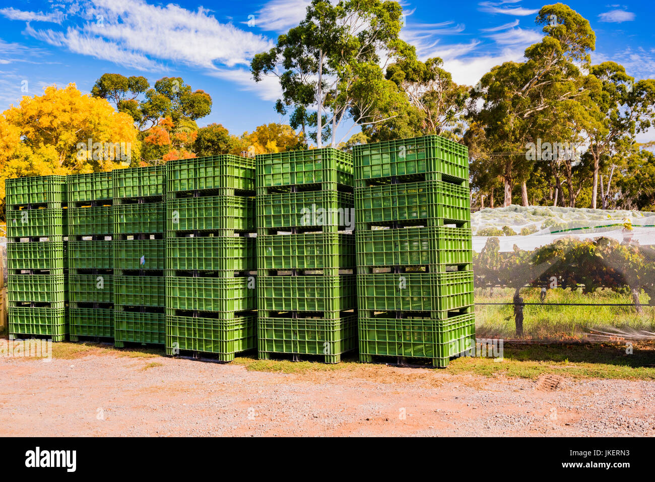 Grape harvest crates hi-res stock photography and images - Alamy