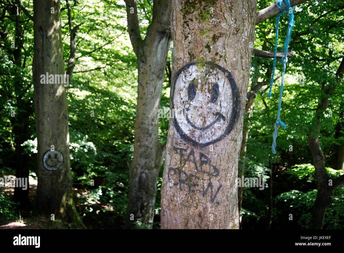 Scotland. West Kilbride. Tab crew graffiti on a tree in the glen. Stock Photo