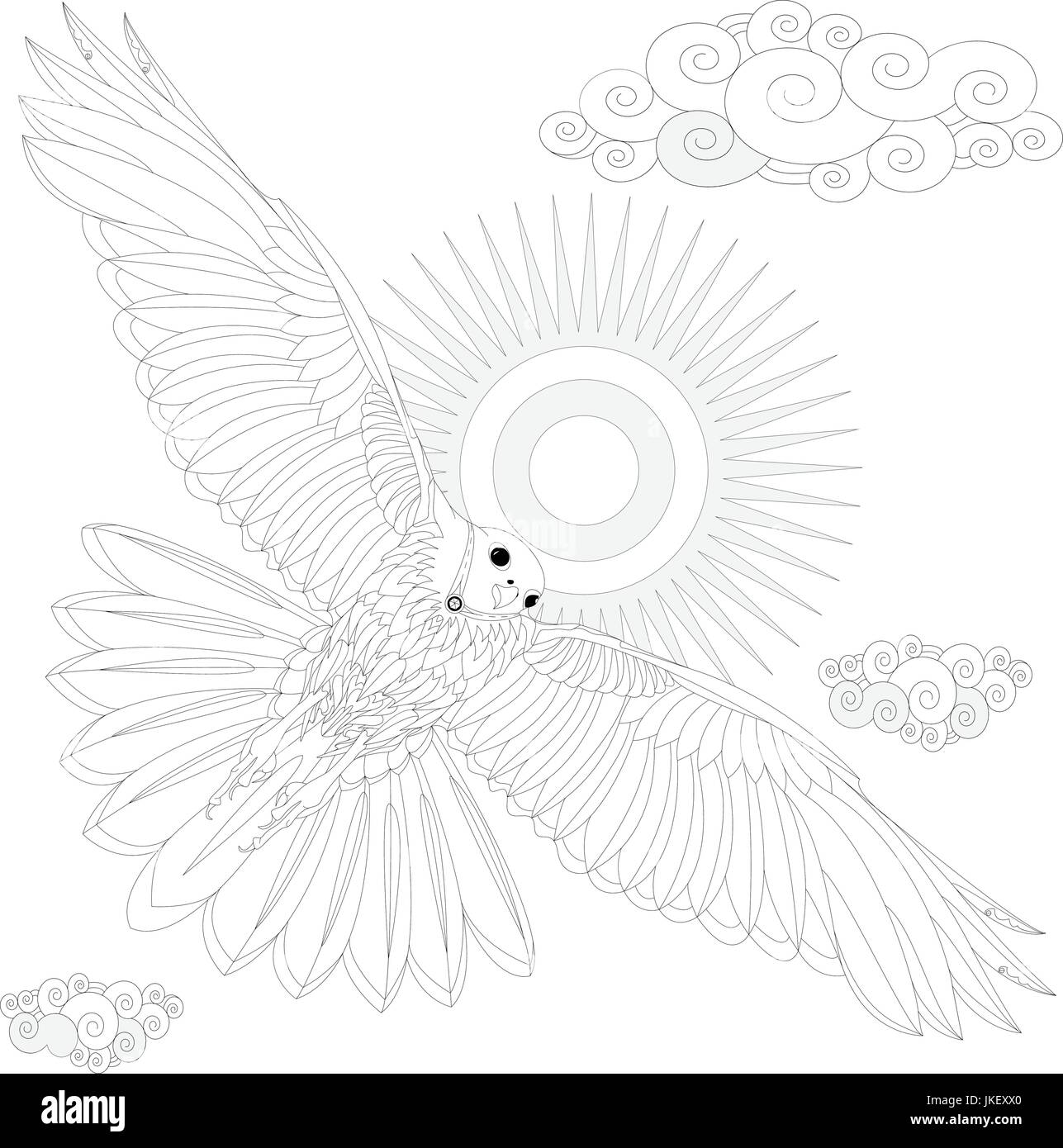 Eagle bird coloring book for adults illustration. Antistress coloring