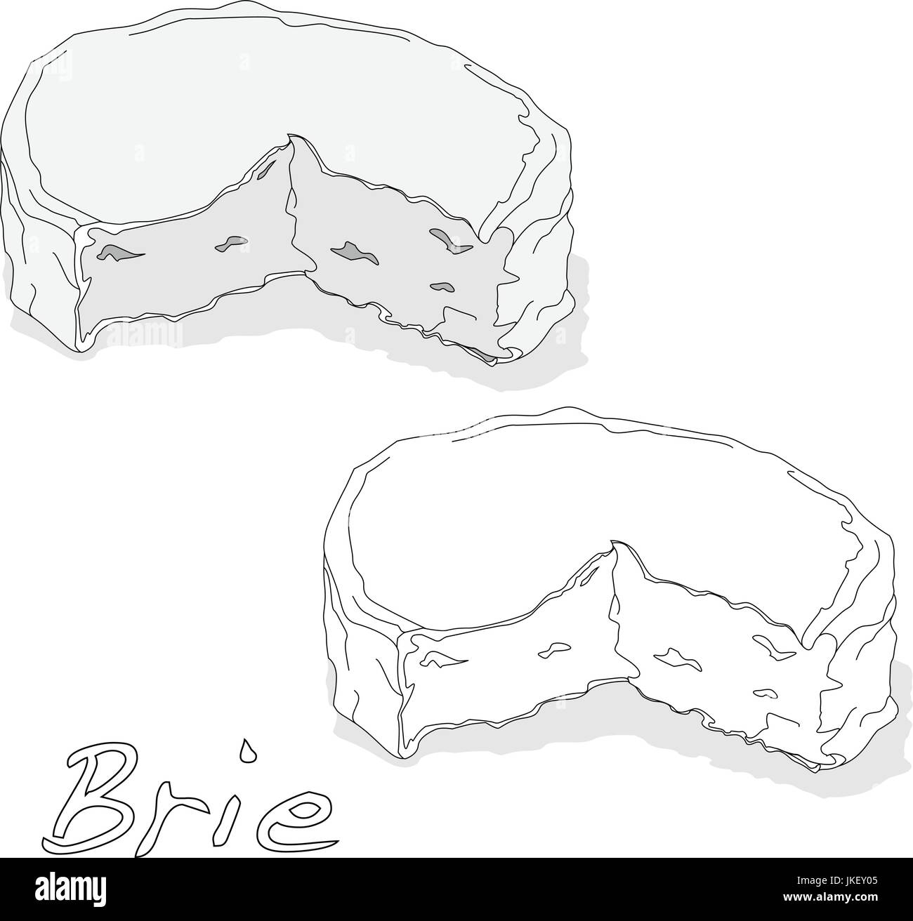 Brie cheese isolated artwork Stock Vector Image & Art Alamy