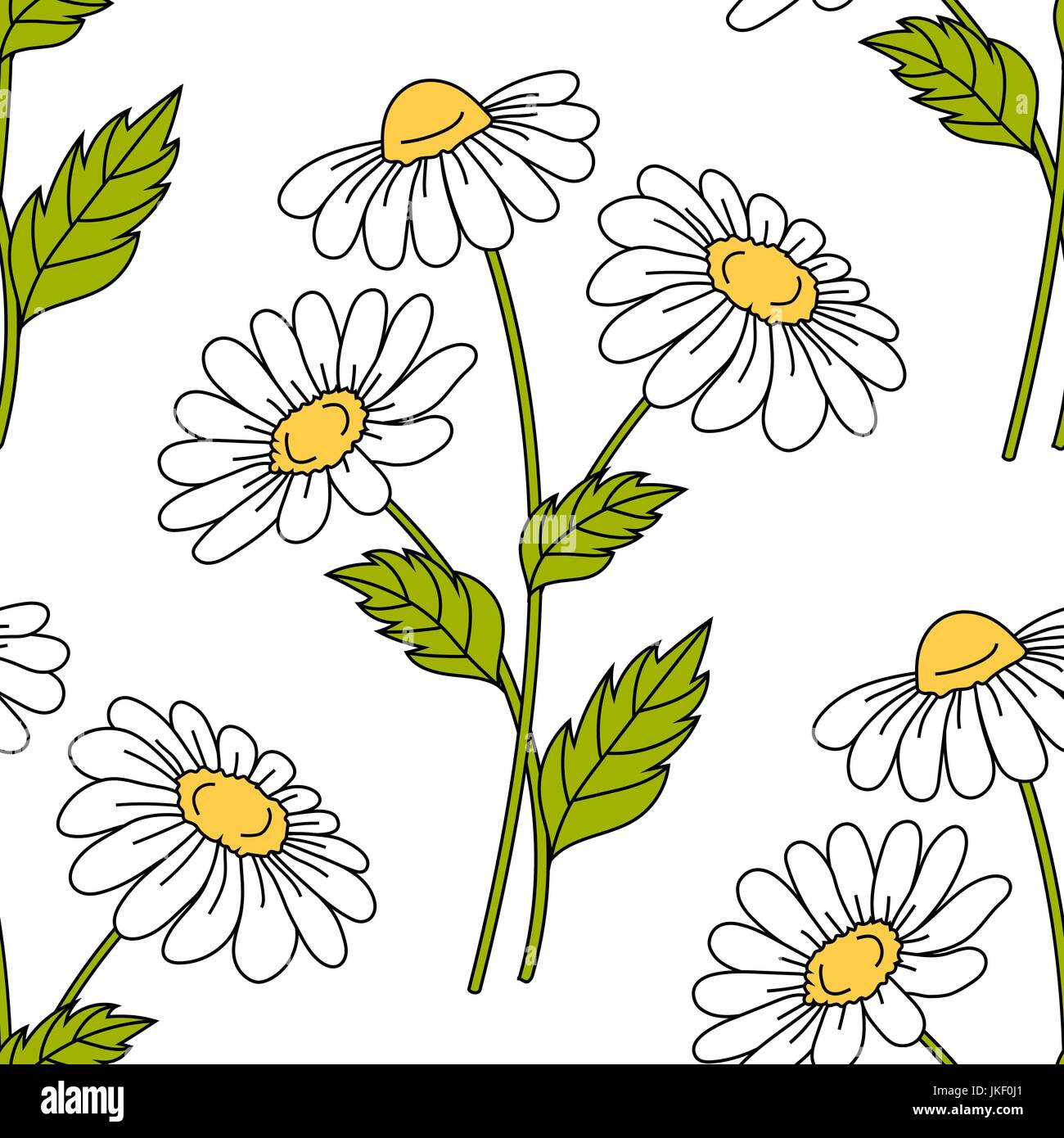 Seamless Doodle Daisy Pattern. Vector Background With White