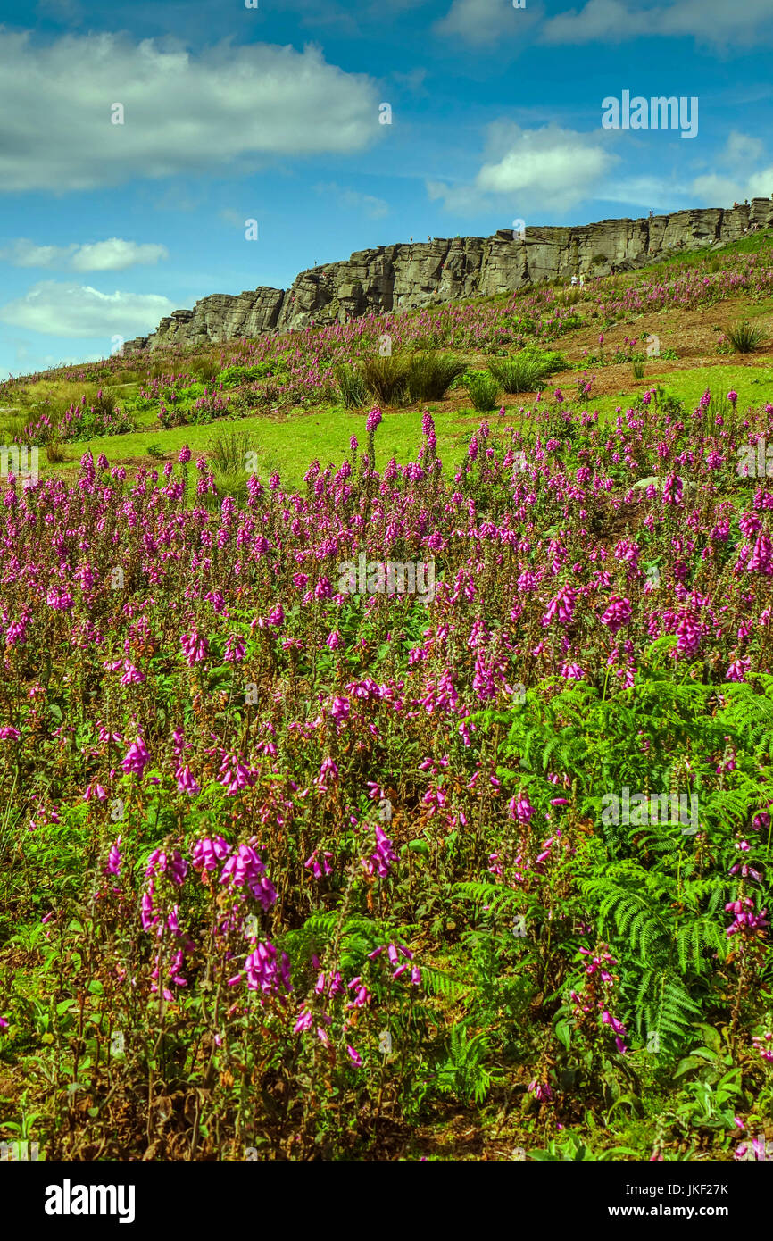 Stanage Edge, Peak District Nationa Park, Derbyshire Stock Photo