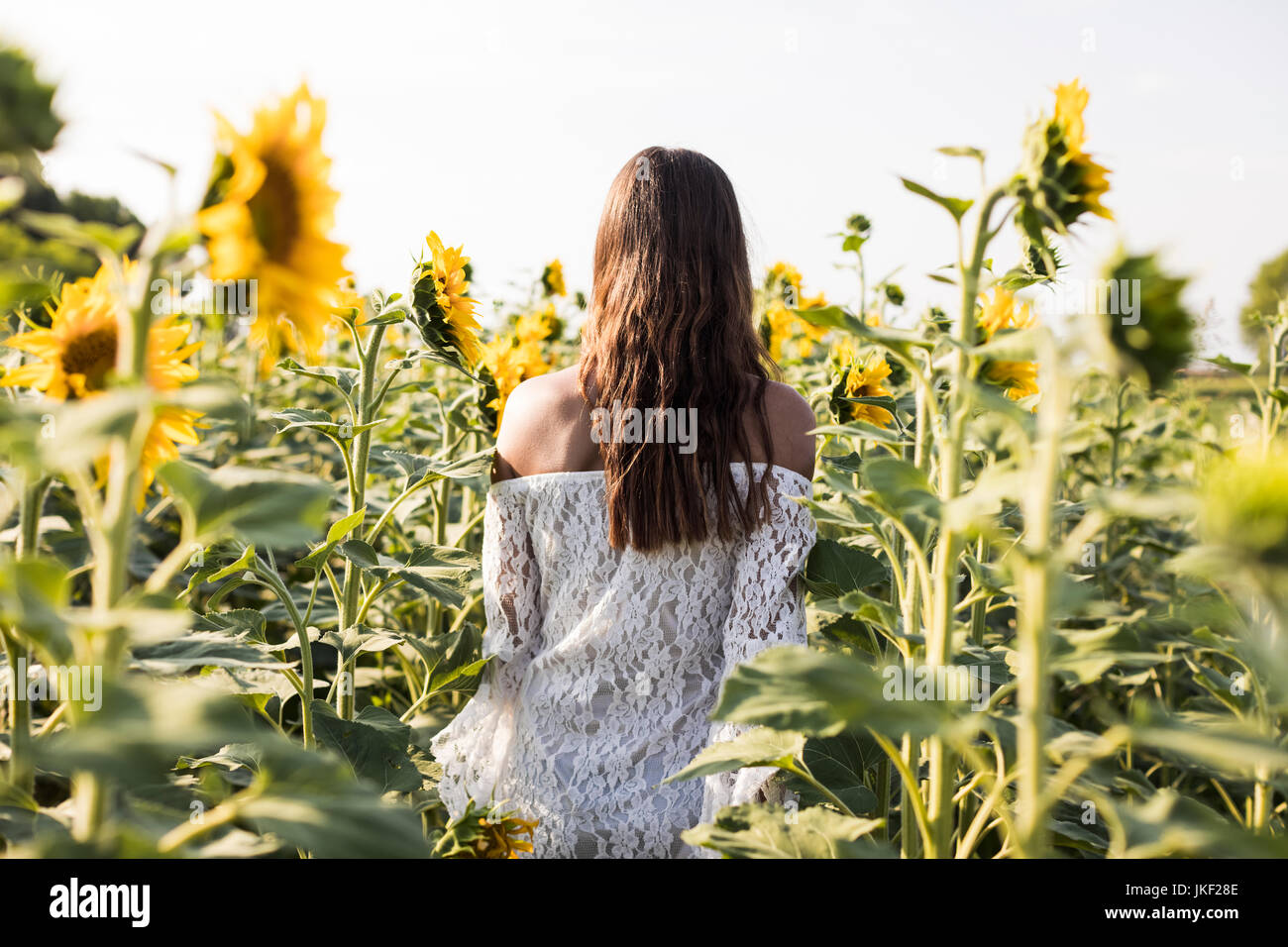 Beautiful Woman in a Sunflower Field Stock Photo - Alamy