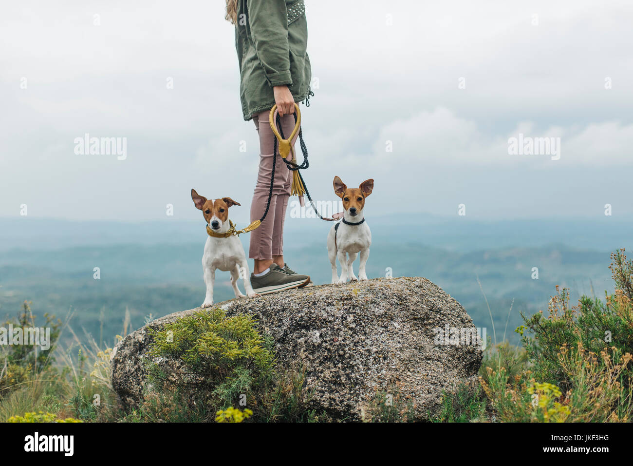 Woman walking with her two dogs Stock Photo - Alamy