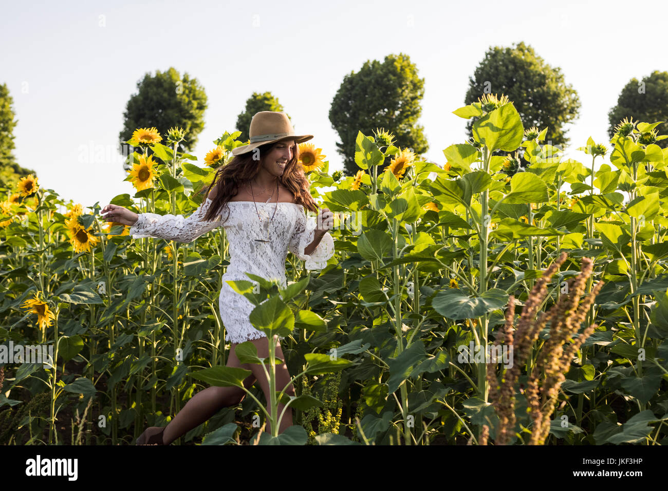 Beautiful Woman in a Sunflower Field Stock Photo - Alamy