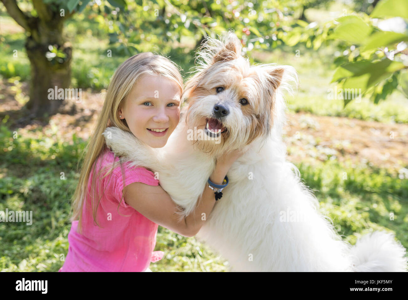 Girl playing with dog on meadow Stock Photo - Alamy