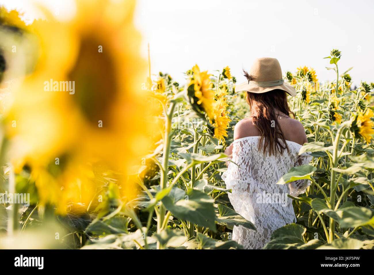 Beautiful Woman in a Sunflower Field Stock Photo - Alamy