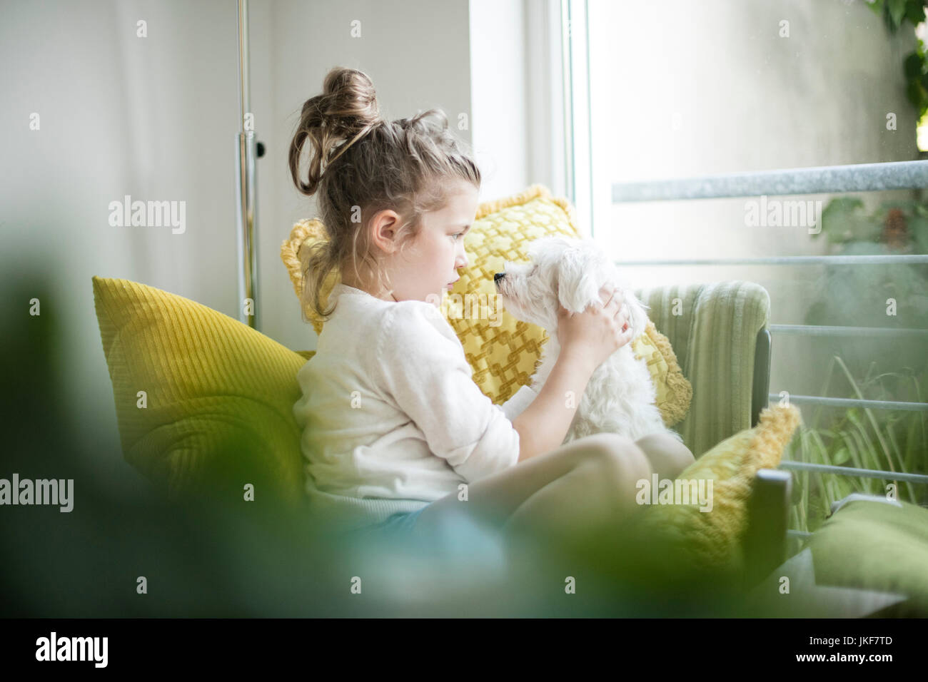 Little girl sitting on armchair with her dog Stock Photo - Alamy