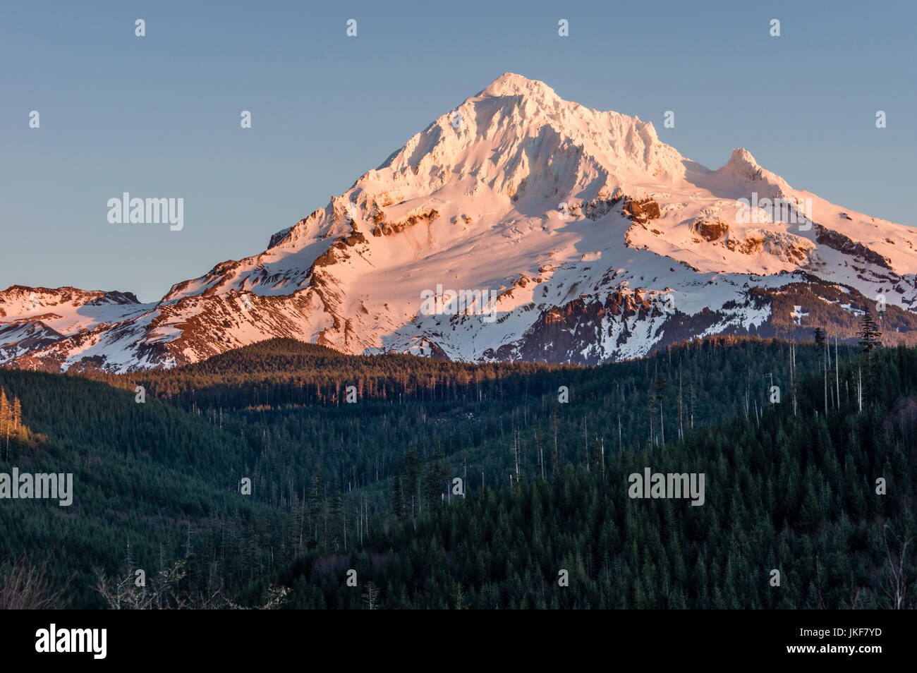 Mount Hood with snow cover and forested foot hills Stock Photo