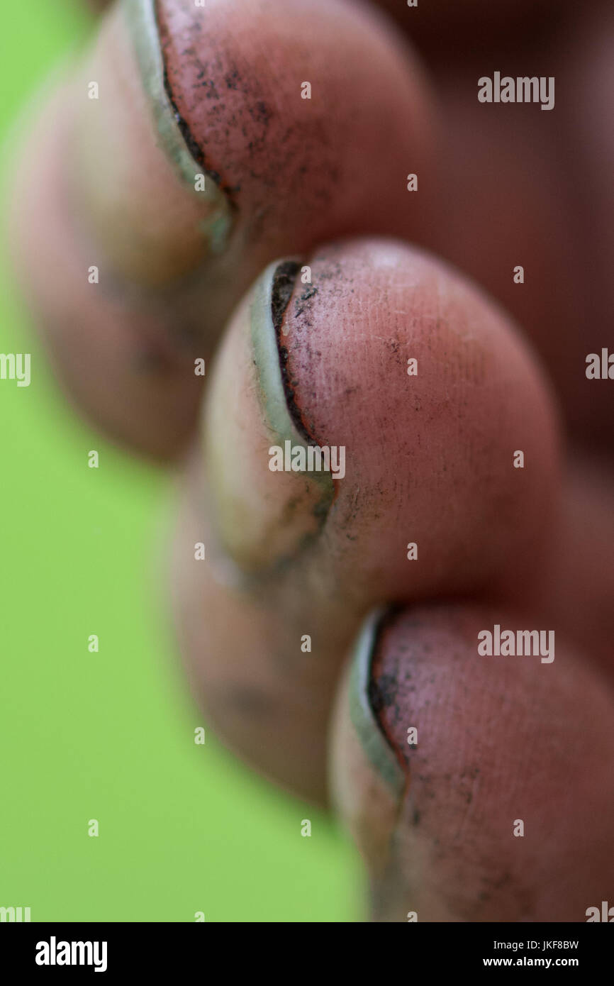 gardening hands with dirt under fingernails Stock Photo