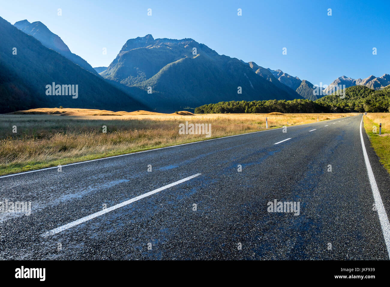 New Zealand, South Island, Fiordland National Park, Te Anau Milford Highway, Eglinton Valley Stock Photo