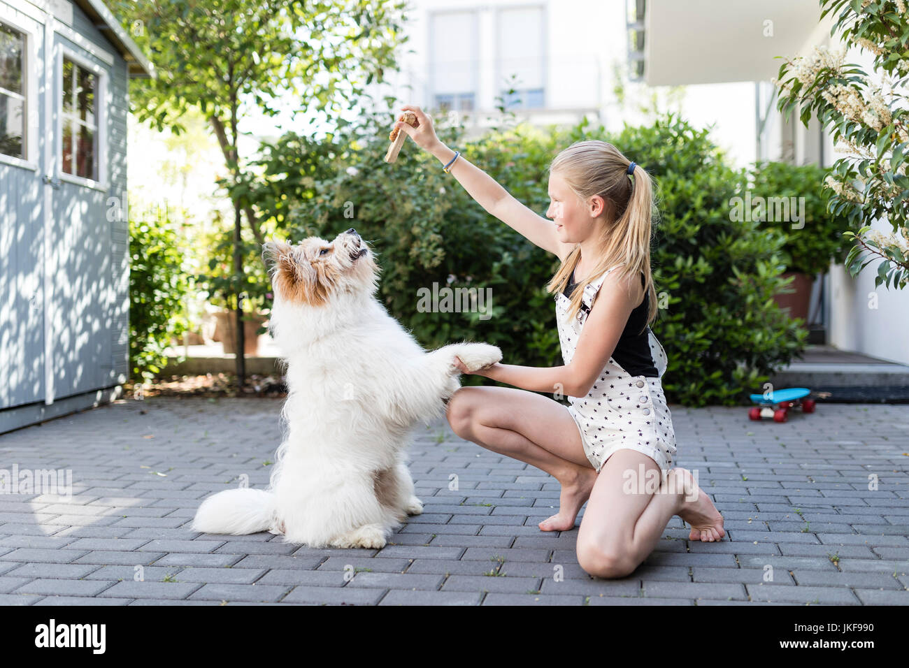 Girl playing with dog in the yard Stock Photo - Alamy