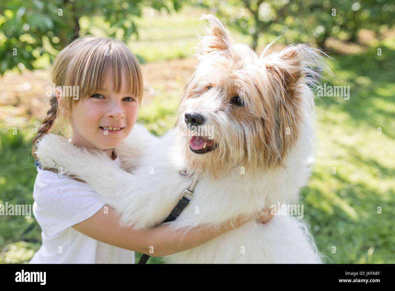 Girl playing with dog on meadow Stock Photo - Alamy