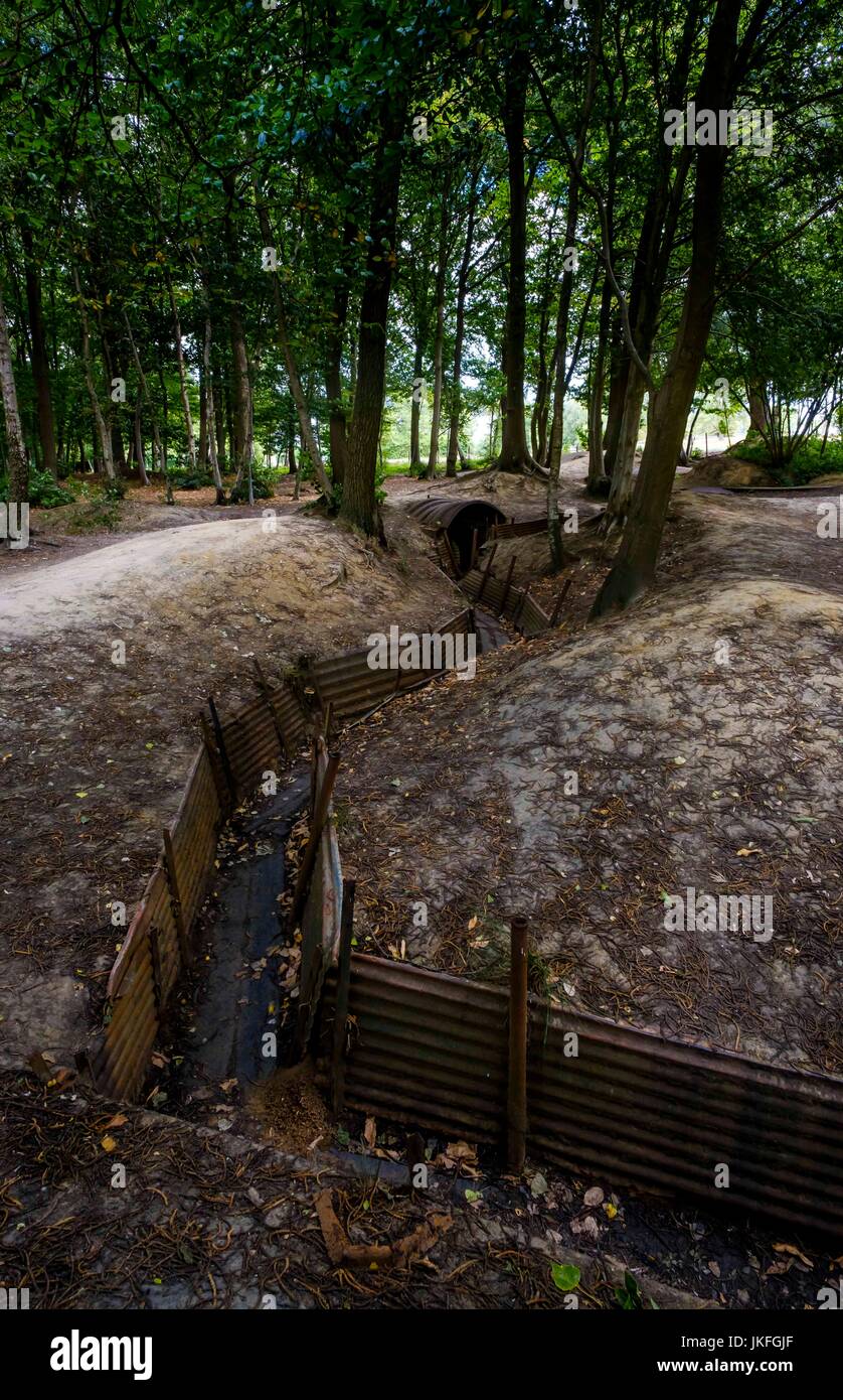 Sanctuary Wood near Passchendaele, Belgium 23rd July 2017 :: WW! trenches in Sanctuary Wood Near Passchendaele, Belgium.  31st of  July sees the start of commemorations to mark the 100th anniversary od the start of the battle of Passchendaele Credit: Andrew Wilson/Alamy Live News Stock Photo