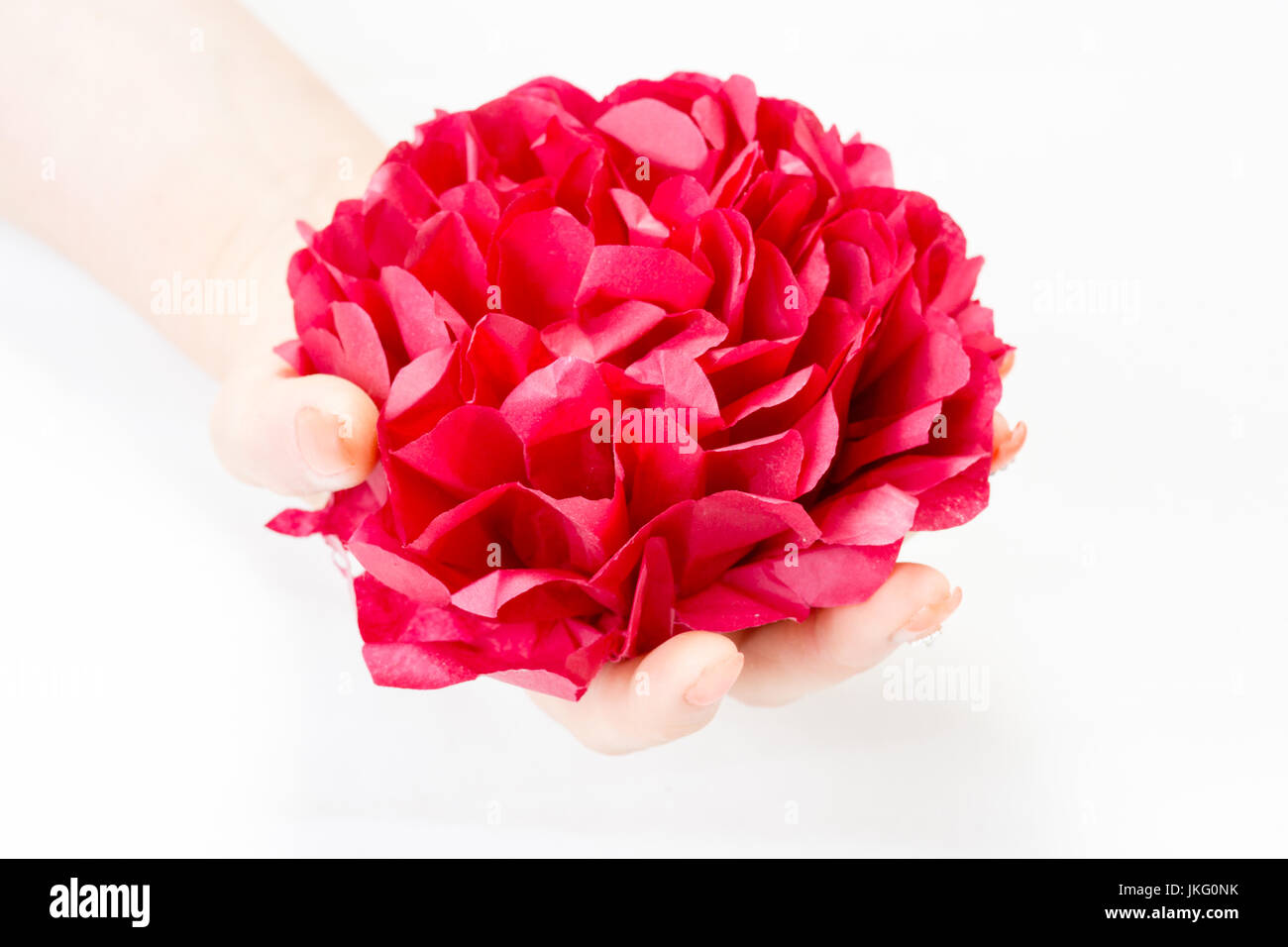 Beautiful red petal in woman's hands with nail art isolated on white background Stock Photo