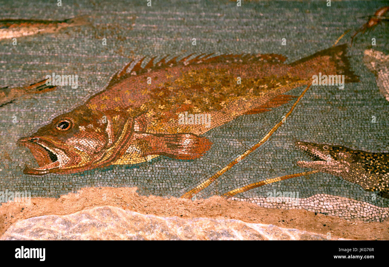 Mosaic with fish. Roman culture, Opus Vermiculatorum, marble of different colors. 1st Century AD. Empuries. Girona. Stock Photo