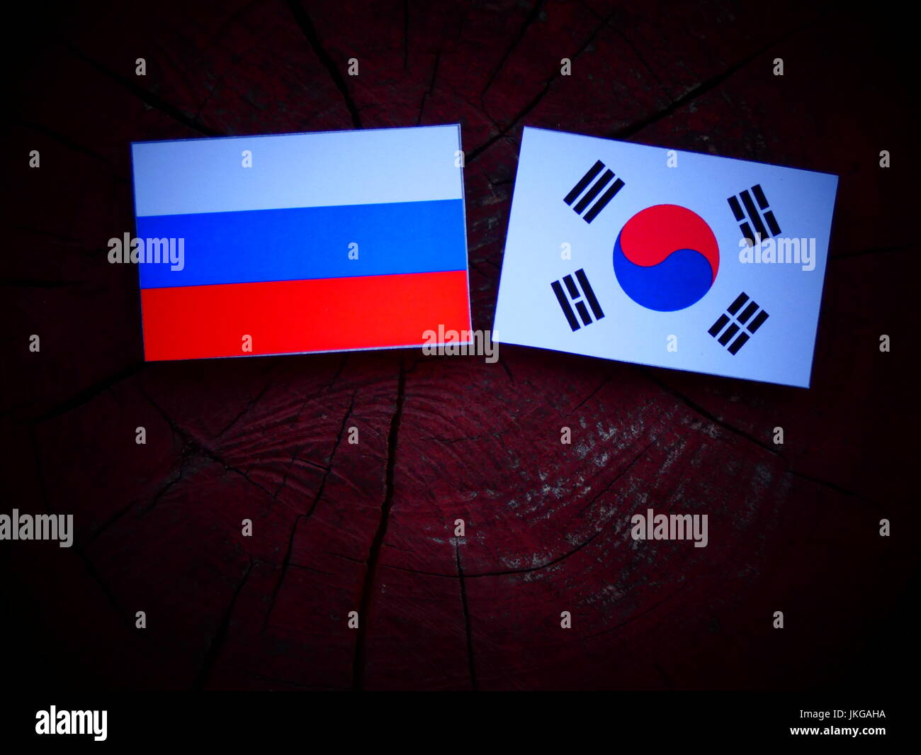 Flag of Russia Flag of South Korea , Russia transparent background