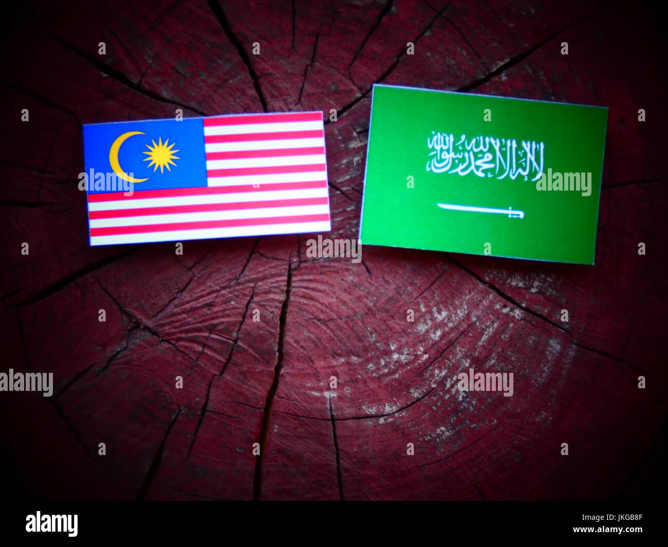 Malaysian flag with Saudi Arabian flag on a tree stump isolated Stock Photo
