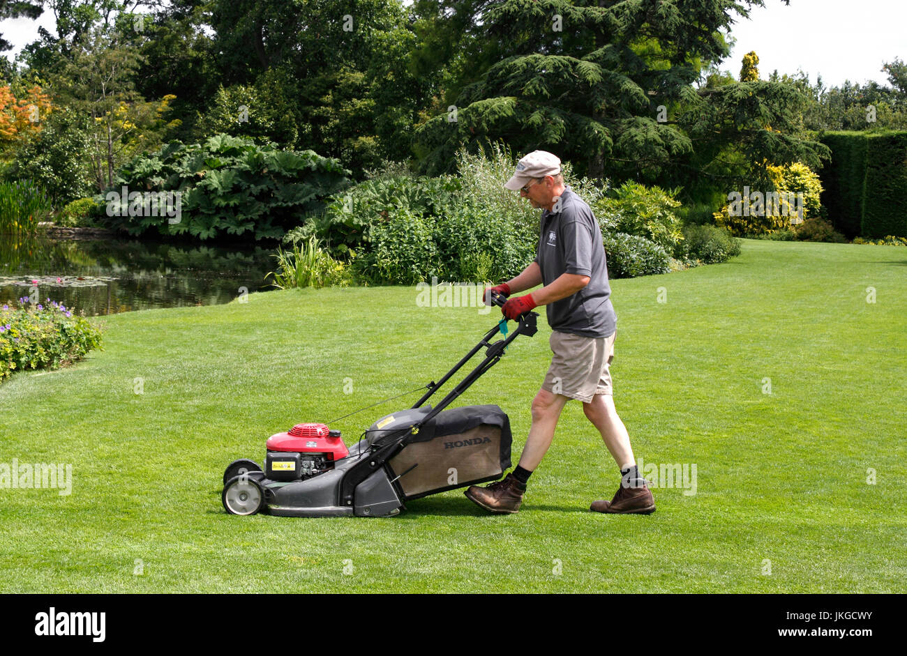 A MALE GARDENER CUTTING GRASS WITH A PETROL DRIVEN MOWER Stock Photo
