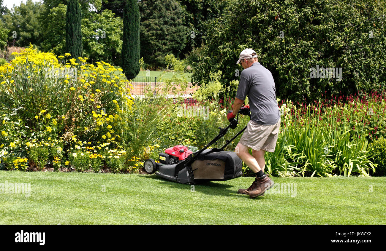 A MALE GARDENER CUTTING GRASS WITH A PETROL DRIVEN MOWER Stock Photo