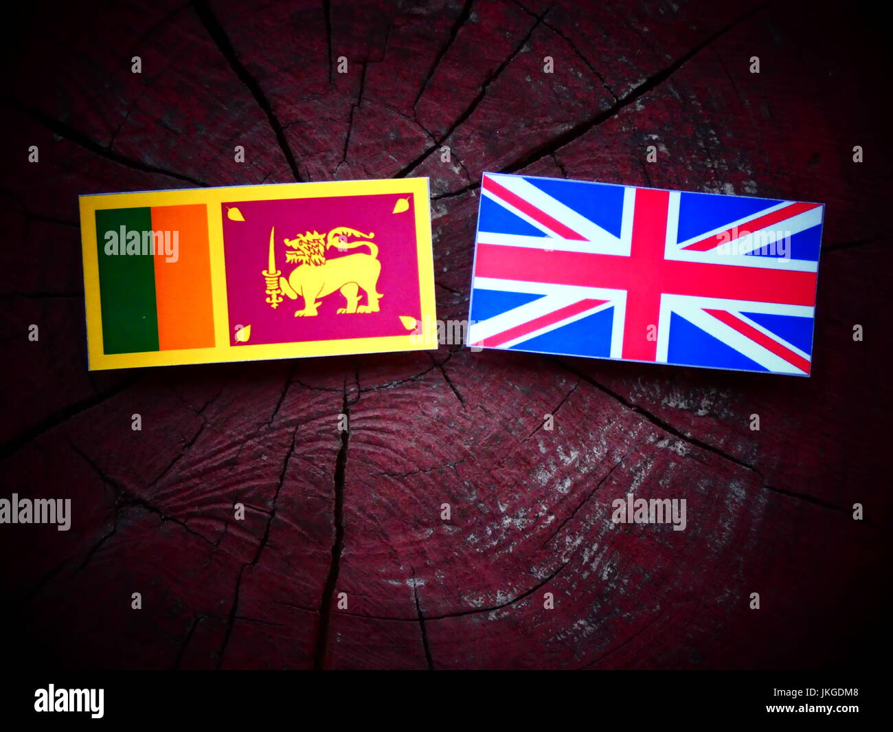 Sri Lankan Flag With Uk Flag On A Tree Stump Isolated Stock Photo Alamy