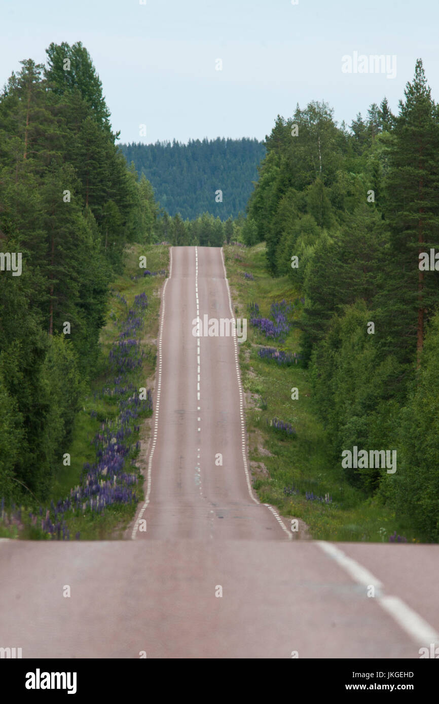 HIGHWAY 26 in the forest at Dala Järna 2017 Stock Photo: 149724105 ...