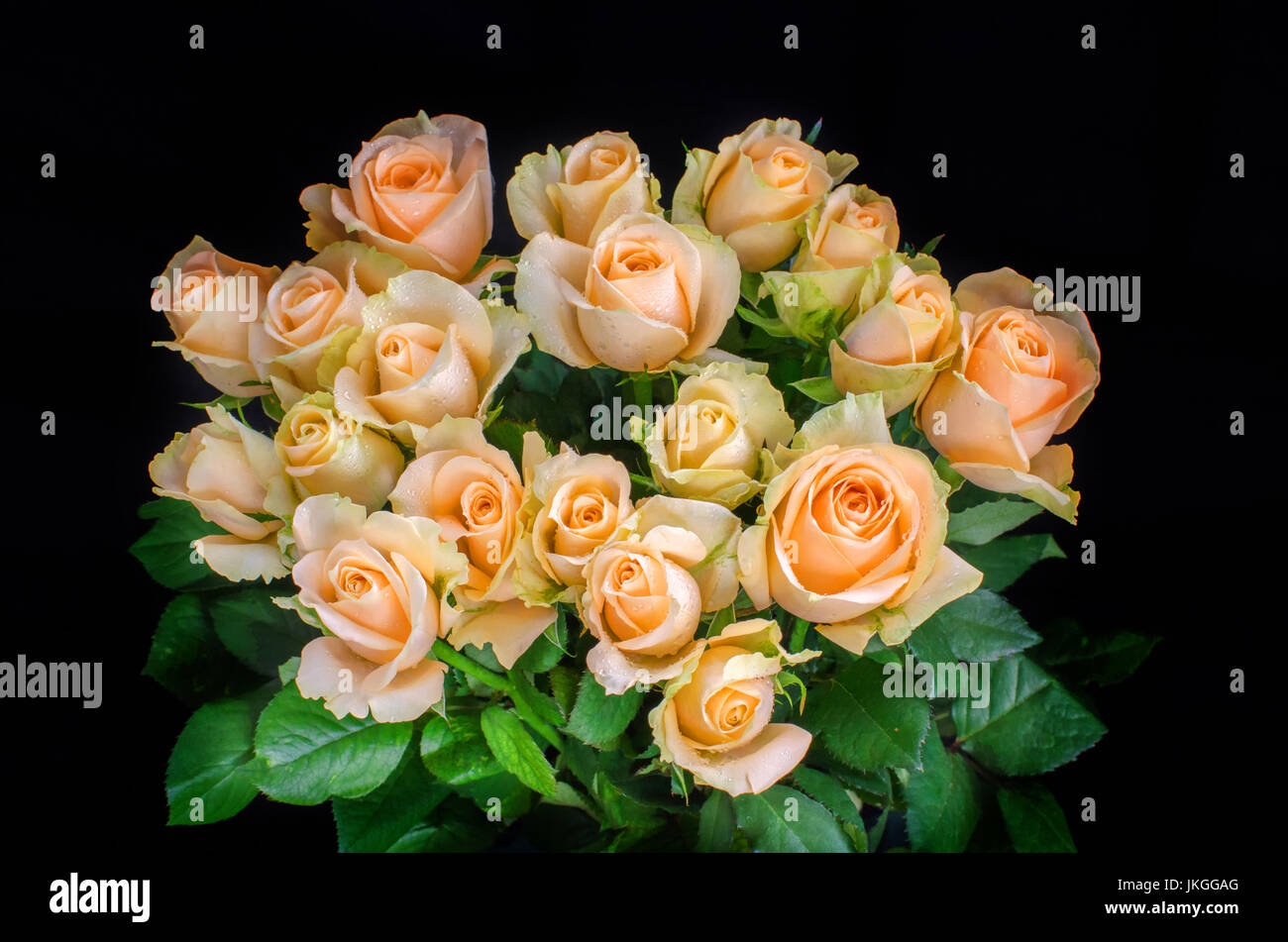 Bucket of roses in black background Stock Photo - Alamy