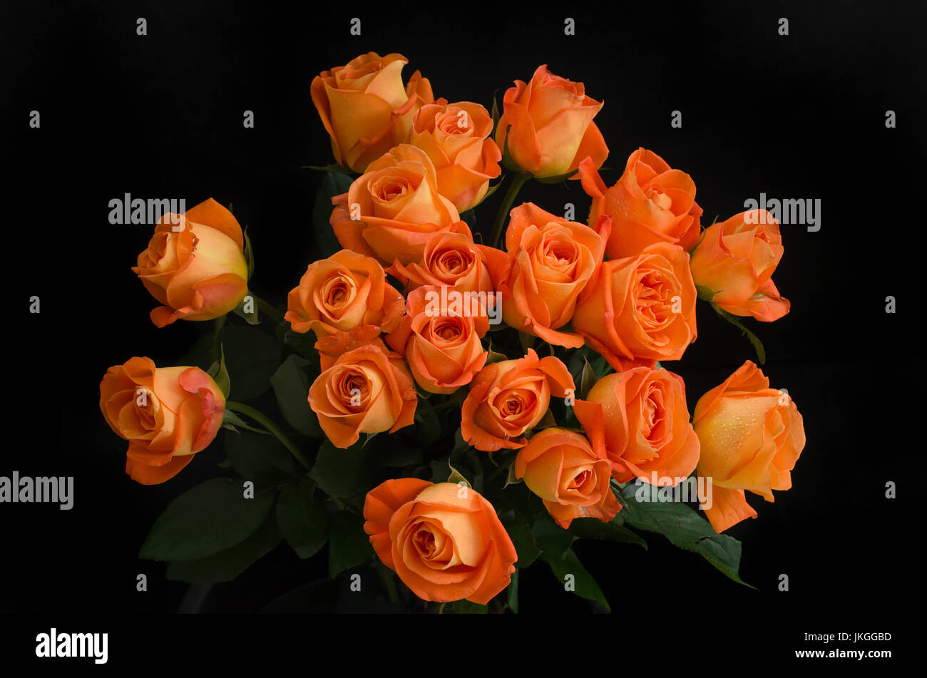 Bucket of roses on black background Stock Photo - Alamy