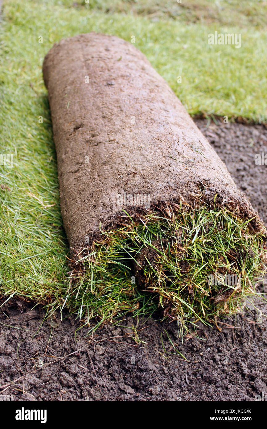 Rolls of garden turf making a new lawn Stock Photo