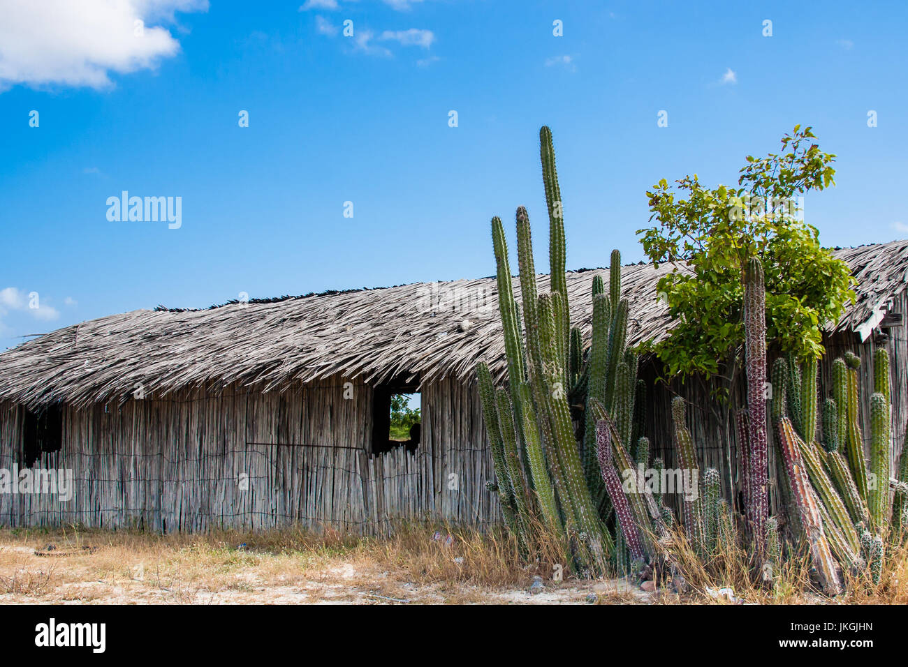 Traditional guadua wood houses at La Guajira, Colombia Stock Photo