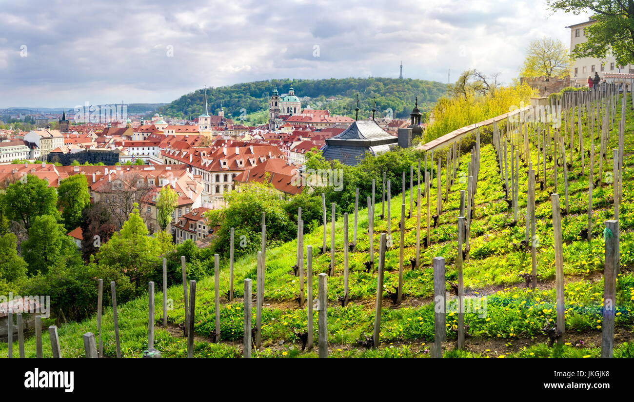 Orchard above beautiful Prague in Czech, Europe, panoramic view Stock Photo