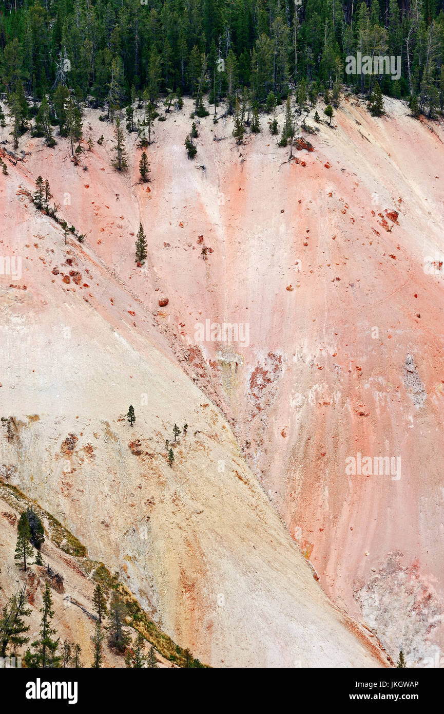 Detail of the Grand Canyon of the Yellowstone, Yellowstone national park, Wyoming, USA / the colors are result of hydrothermal alteration Stock Photo