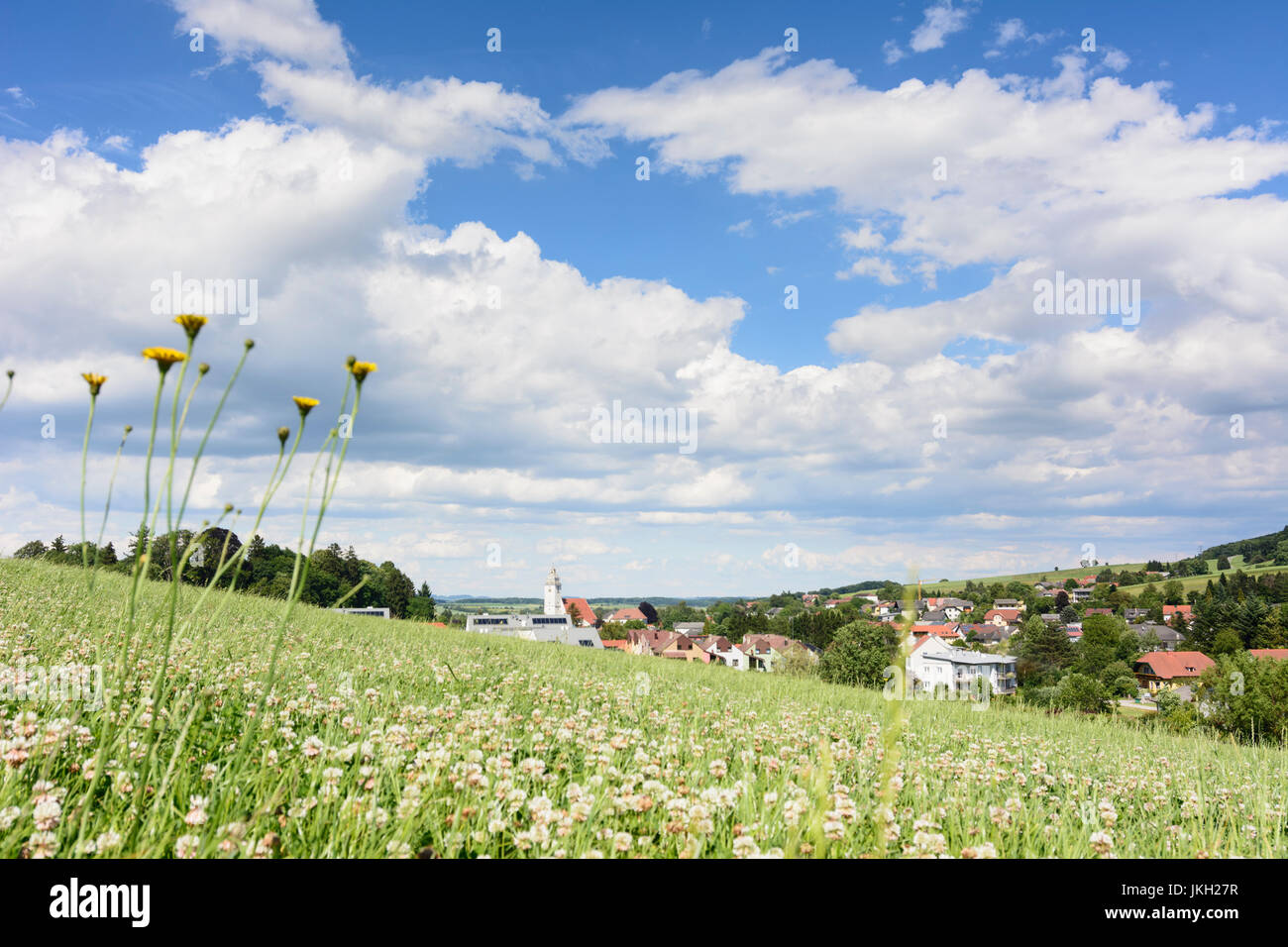 village Kilb, meadow, Kilb, Mostviertel, Niederösterreich, Lower Austria, Austria Stock Photo