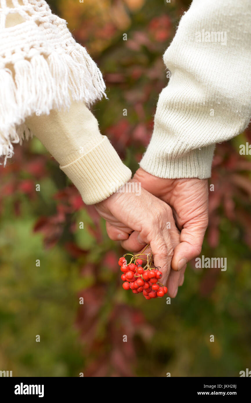 Couple holding hands together on background of park Stock Photo - Alamy