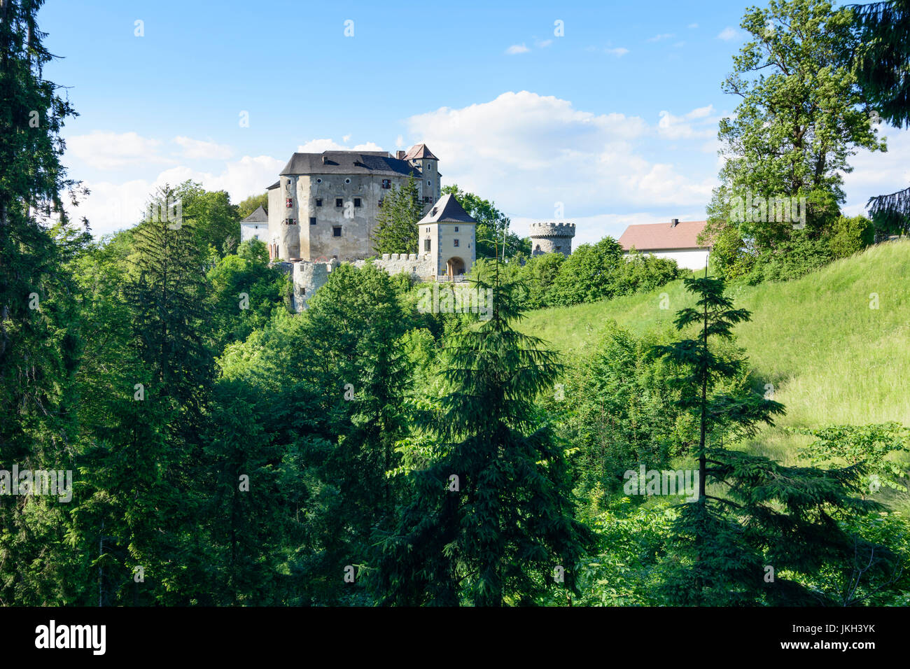 Plankenstein Castle, Texingtal, Mostviertel, Niederösterreich, Lower Austria, Austria Stock Photo