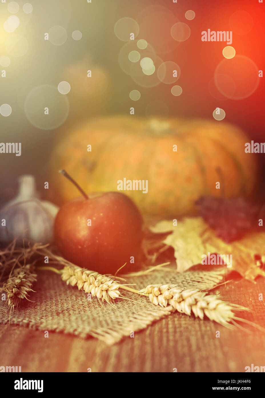 Rustic fall scene pumpkins hi-res stock photography and images - Alamy