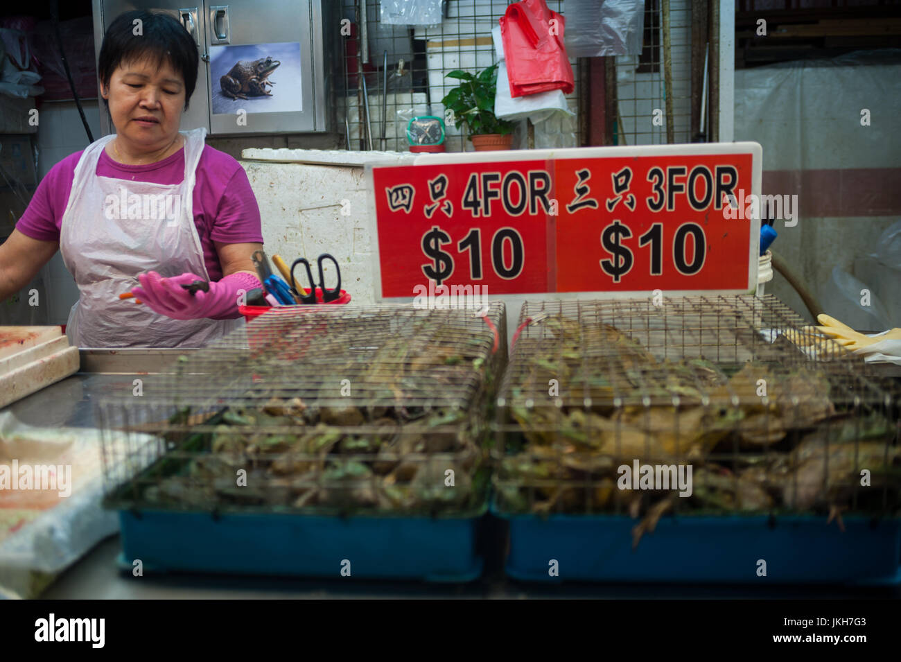 20.07.2017, Singapore, Republic of Singapore, Asia - A monger sells live frogs at a stall in the Chinatown Wet Market. Stock Photo