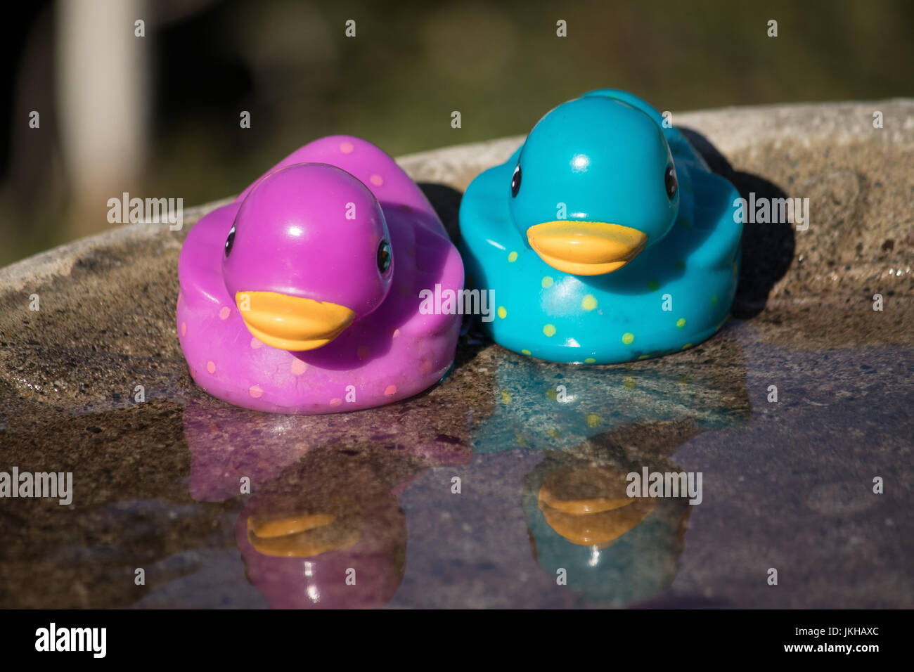 rubber ducks in water Stock Photo Alamy