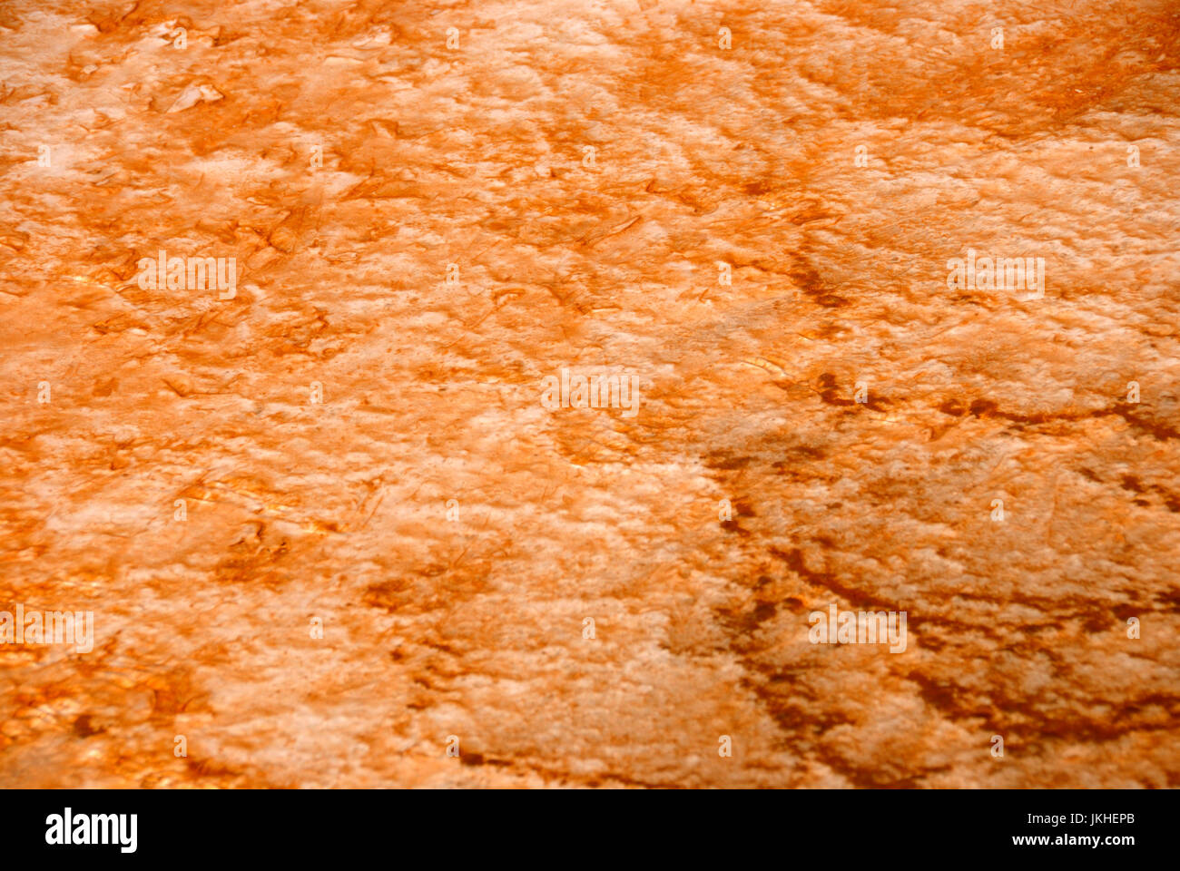 Colorful Bacterial mat, Grand Prismatic Spring, Yellowstone National Park, Wyoming, USA Stock Photo