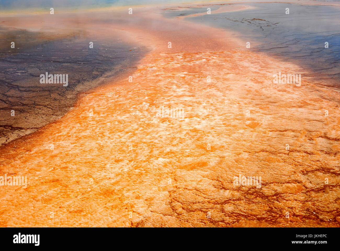 Bacterial mat, Grand Prismatic Spring, Yellowstone National Park, Wyoming, USA Stock Photo