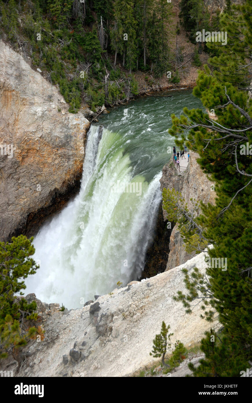 Lower Falls from above, Yellowstone National Park, Wyoming, USA Stock Photo