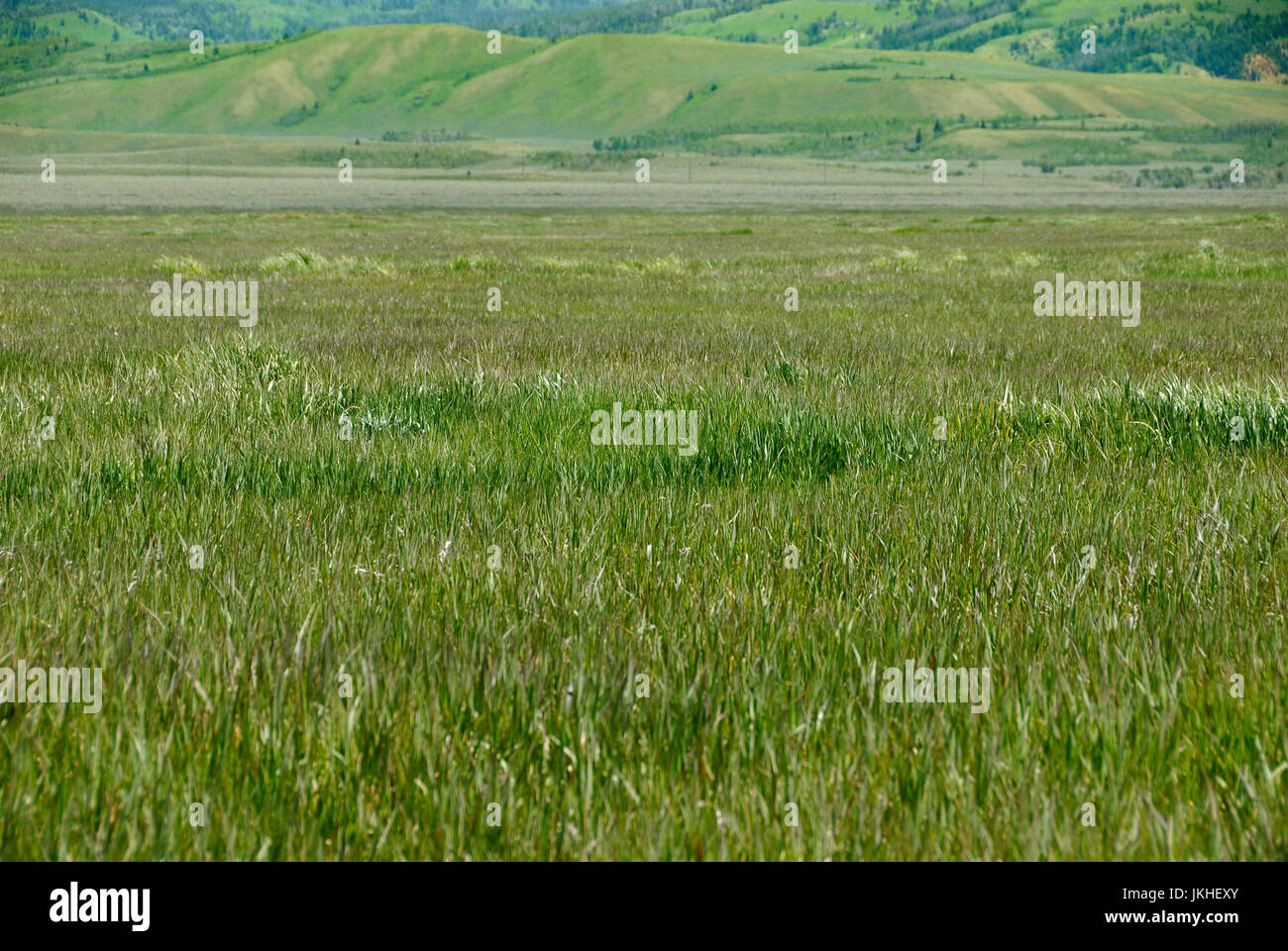 Antelope Flats Looking towards the National Elk Refuge, Jackson Hole, Wyoming,USA Stock Photo