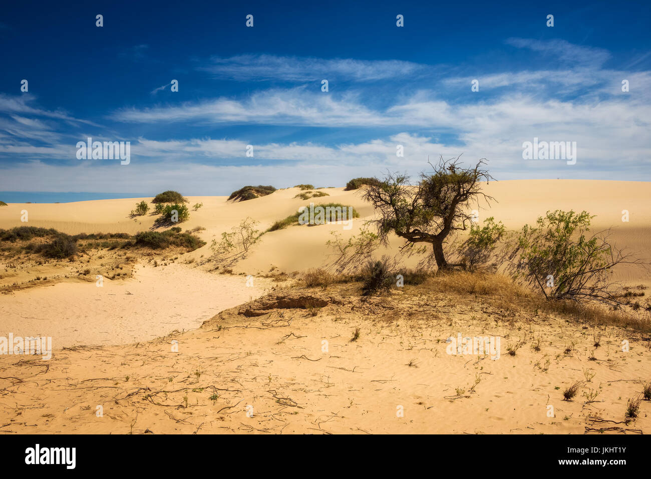 Sand dunes in Mungo National Park, New South Wales, Australia Stock Photo