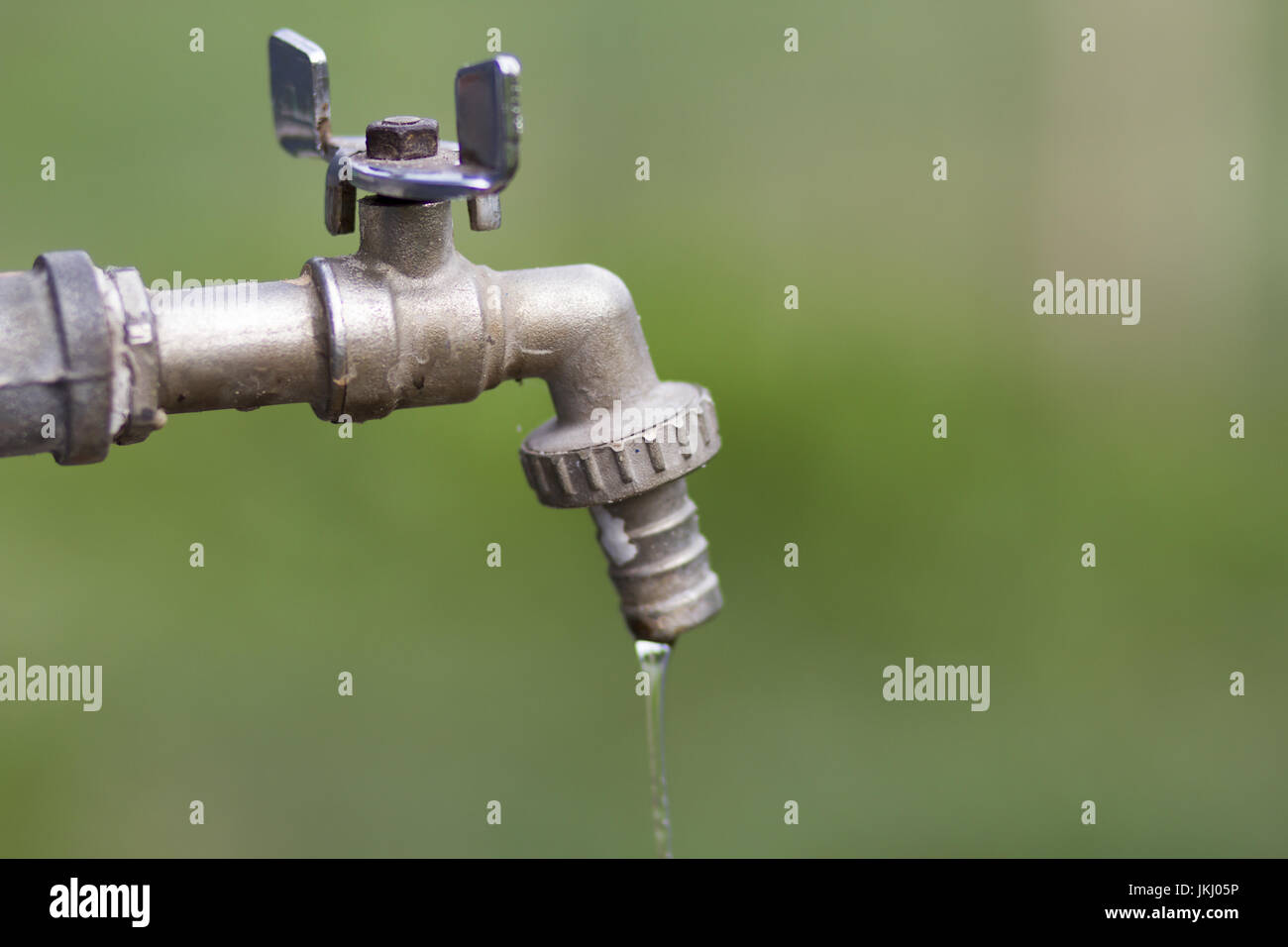Brass water tap in nature background Stock Photo Alamy