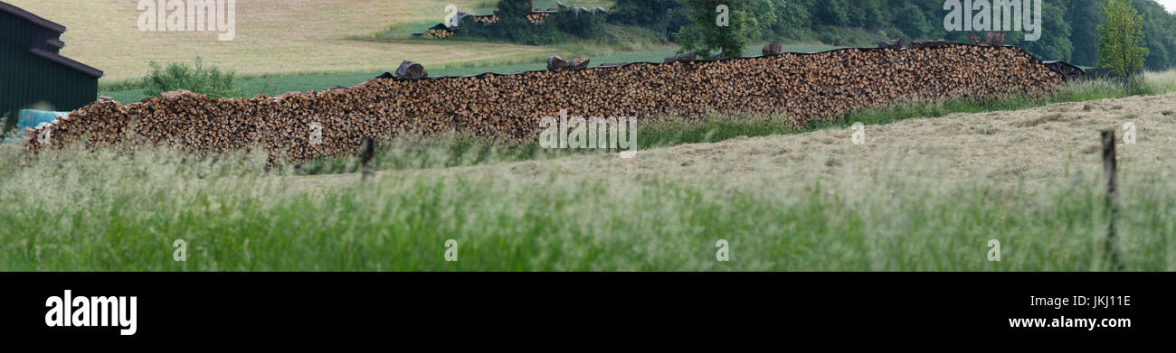 Beautifully stacked firewood stock for winter on a large meadow in the countryside. Stock Photo