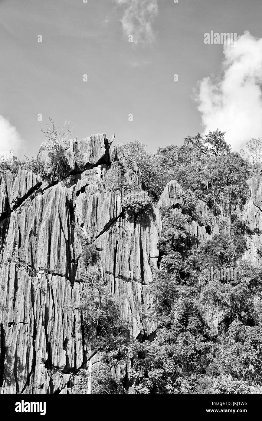 blur in philippines view from a boat of  palm cliff beach and rock from pacific ocean Stock Photo