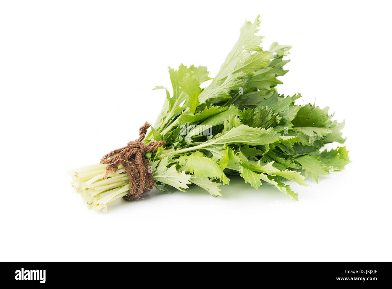 mizuna vegetation isolated on white Stock Photo - Alamy