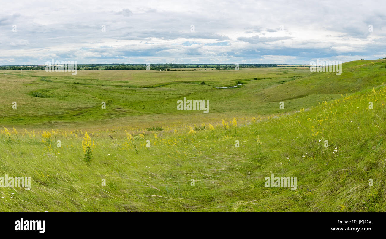Tambov region, Russia, nature panorama, summer Stock Photo