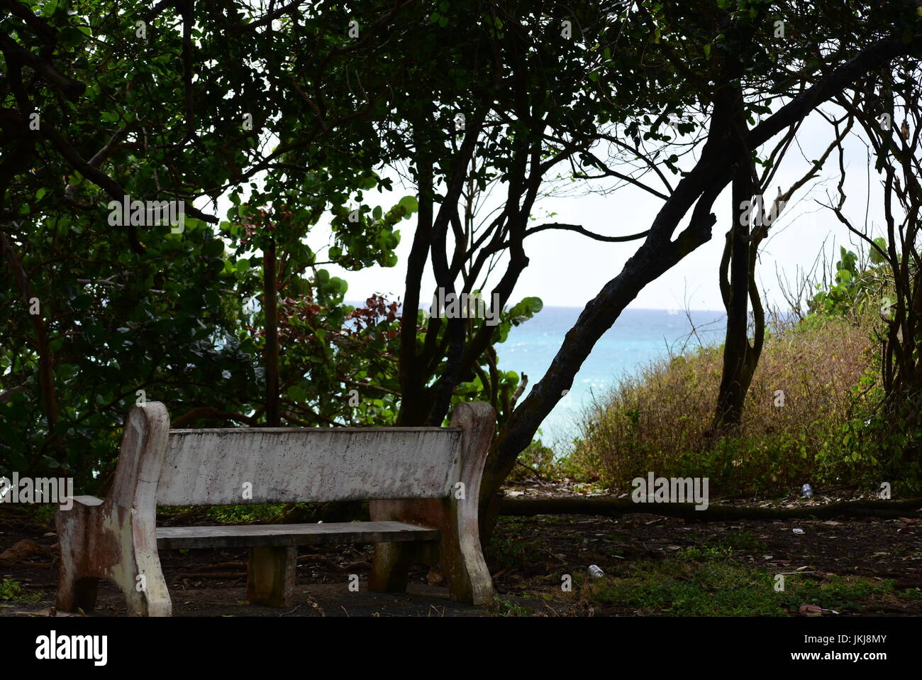 Photographs of stunning scenes taken in Tobago featuring a sun bathe water lily in a pond, empty bench with a view of the sea and the ocean with waves Stock Photo
