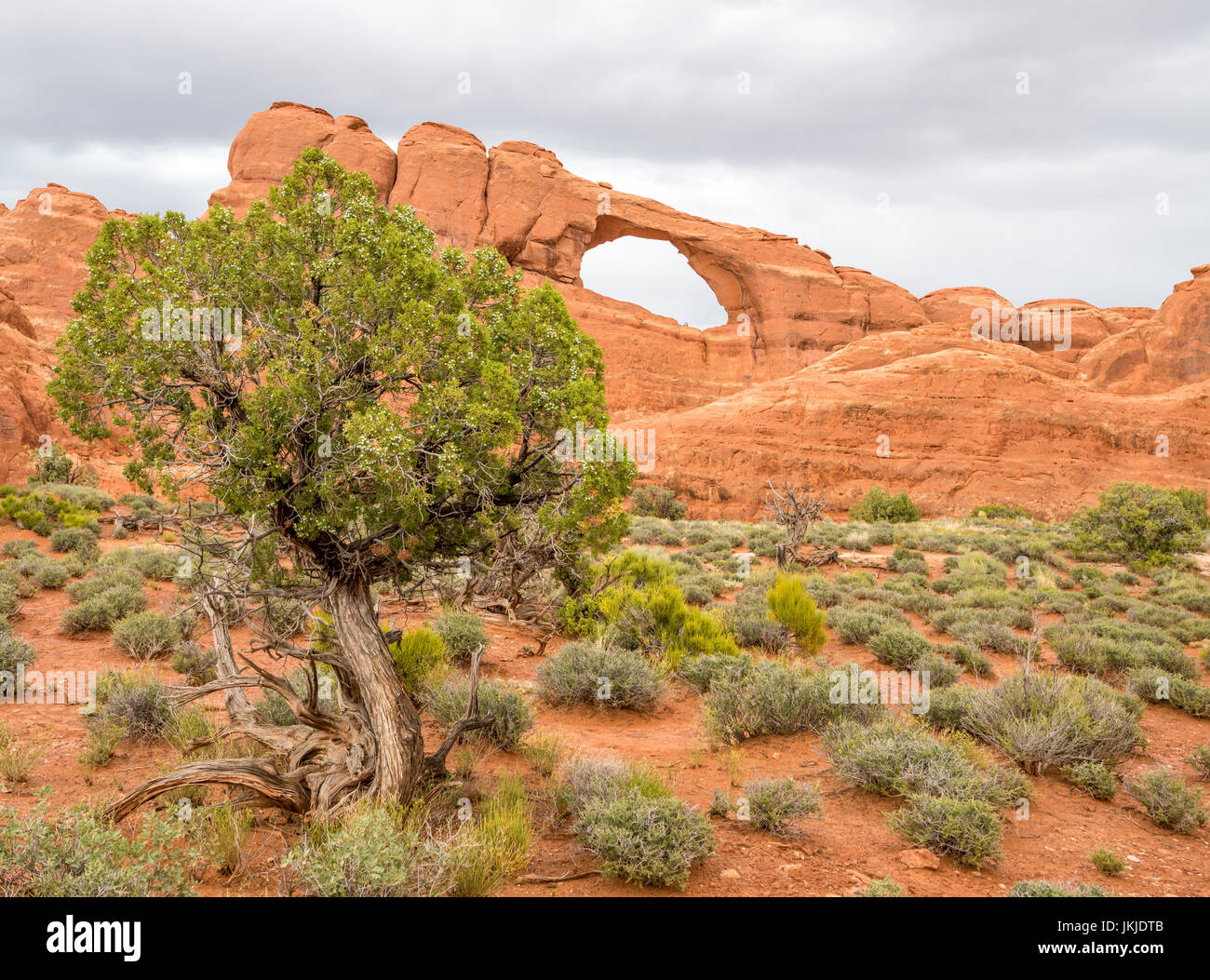 Beautiful landscape rock arch hi-res stock photography and images - Alamy